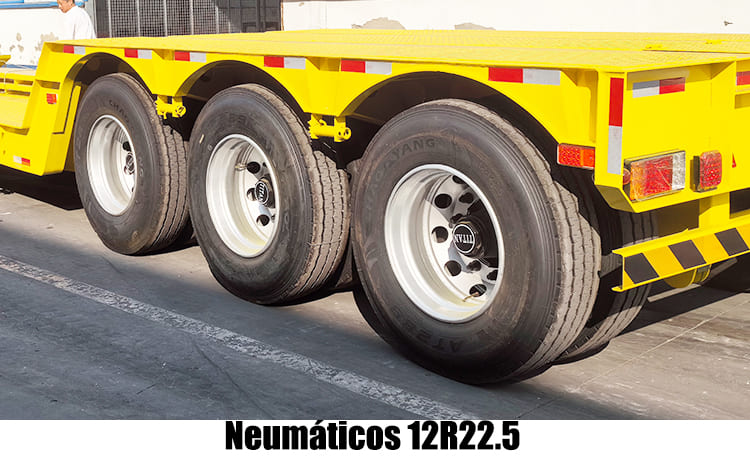 Cama Baja Lowboy Cuello de Ganso Desmontable